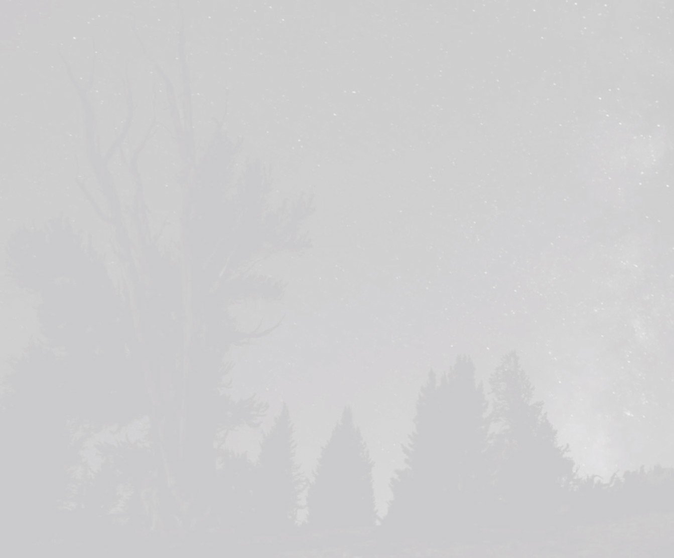 Hiking the WTrek Elevation Gain and Loss Pygmy Elephant