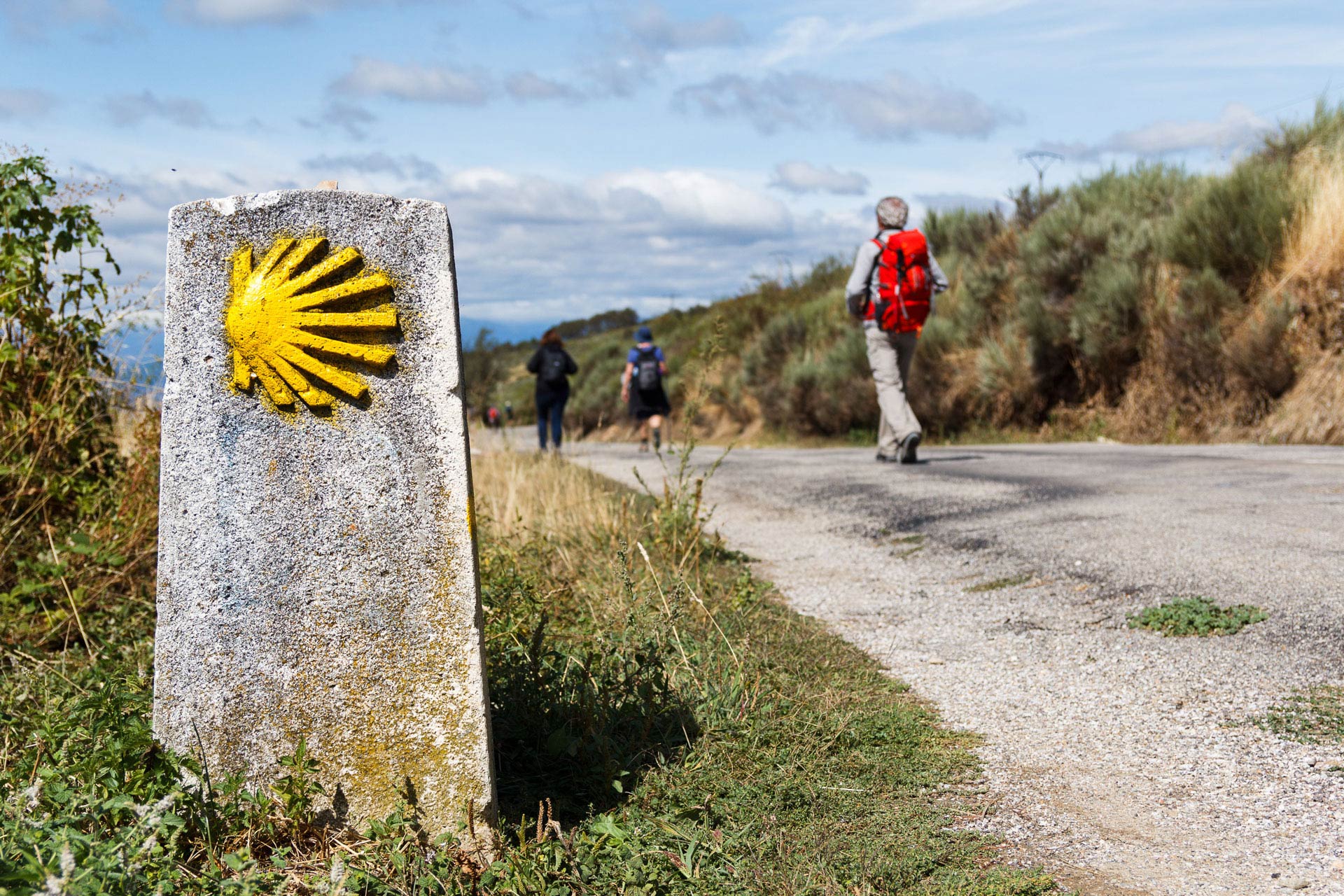 Alerta en el Camino de Santiago francés tras perder la mitad de